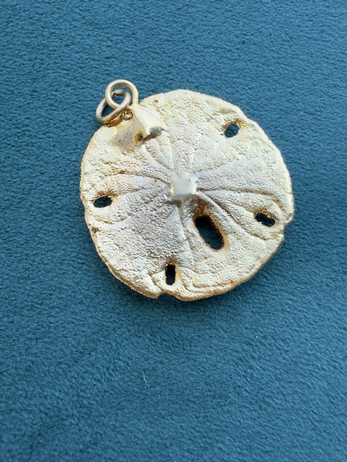 Vintage 24K Gold Dipped Real Sand Dollar Pendant Mermaid Life Beach Jewelry Size 1