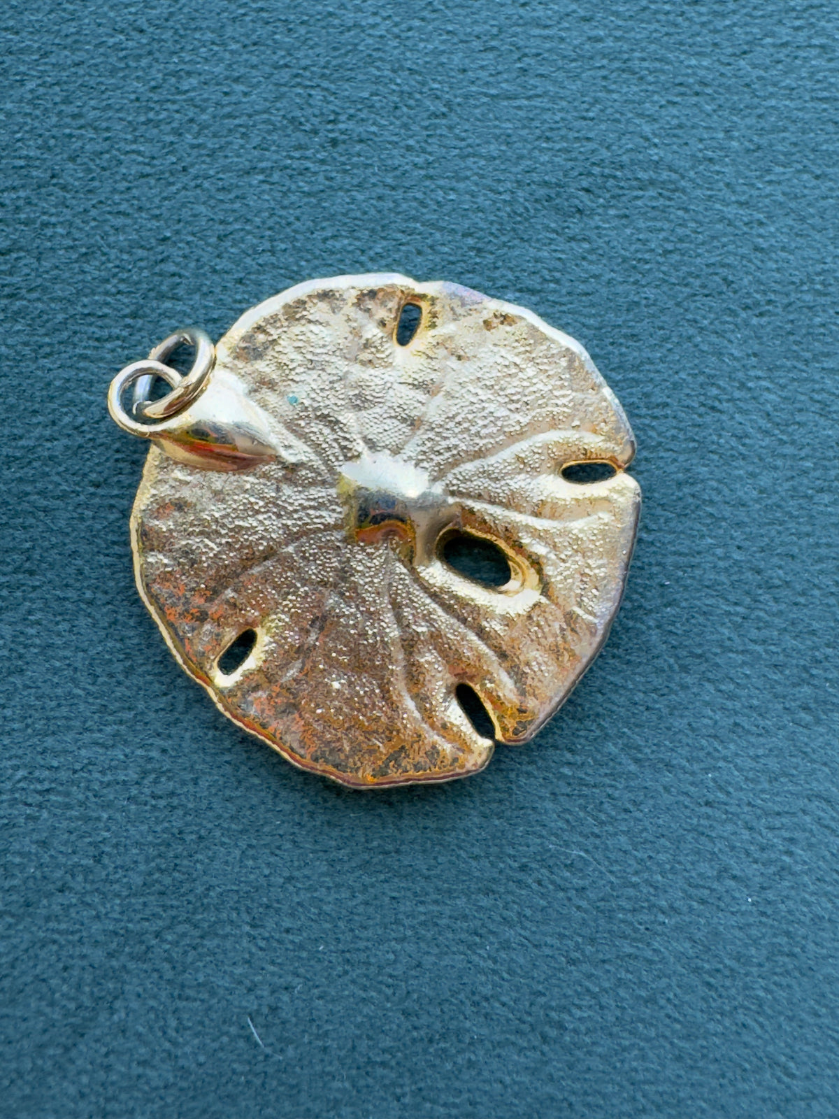 Vintage 24K Gold Dipped Real Sand Dollar Pendant Mermaid Life Beach Jewelry Size 2