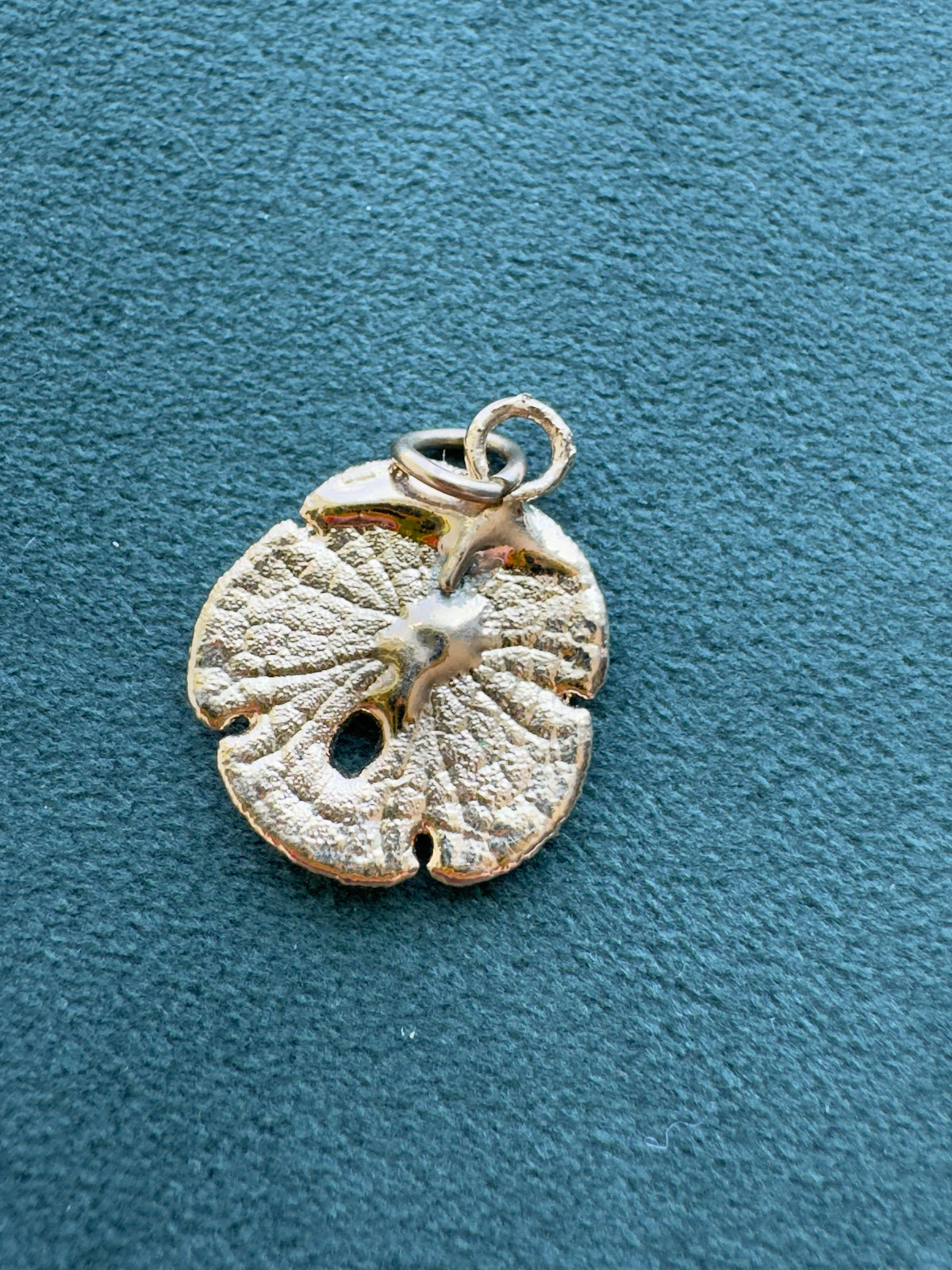 Vintage 24K Gold Dipped Real Sand Dollar Pendant Mermaid Life Beach Jewelry Size 3