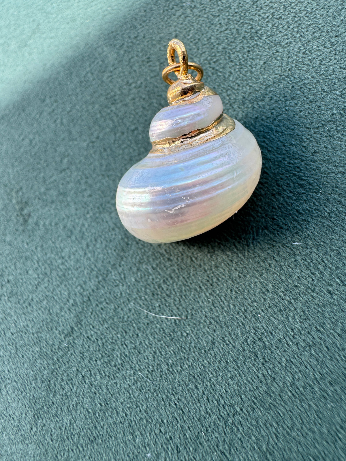 Vintage Gold Trimmed Genuine Turban Shell Pendant Warm Pearl Spiral
