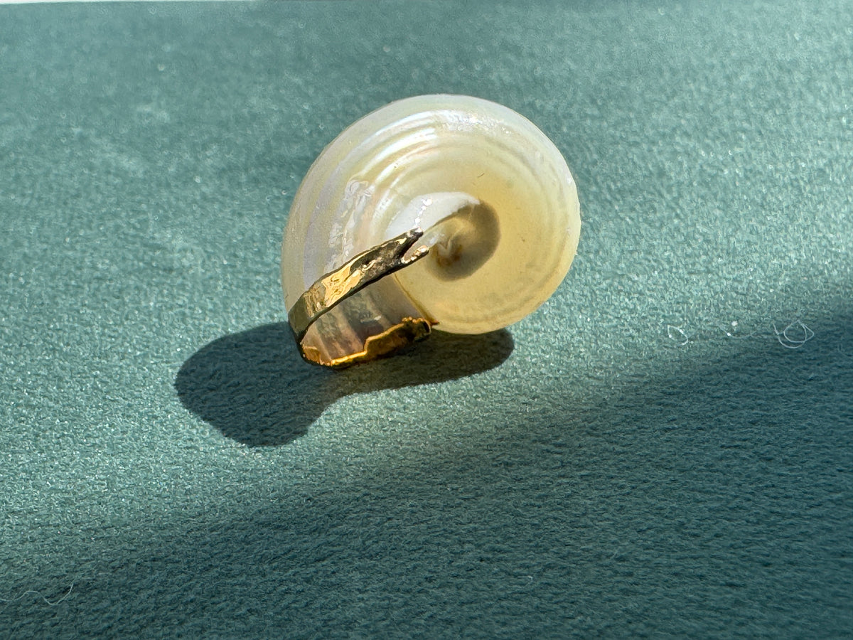 Vintage Gold Trimmed Genuine Turban Shell Pendant Soft Cream Spiral