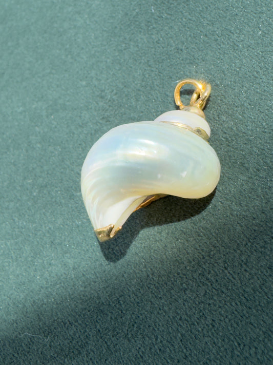 Vintage Gold Trimmed Genuine Turban Shell Pendant Warm Pearl Spiral