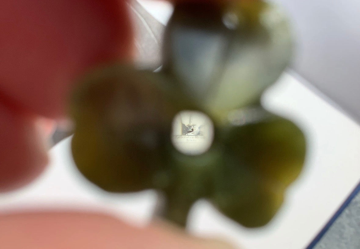 Antique Stanhope Connemara Marble Shamrock Charm Souvenir of Waterford Ireland With a Secret Cathedral Inside